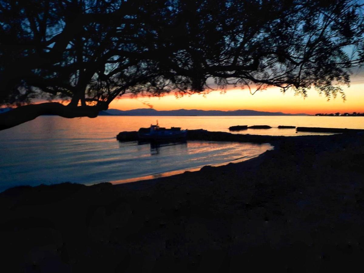Aegina Elegant New Maisonette Near The Sea מראה חיצוני תמונה